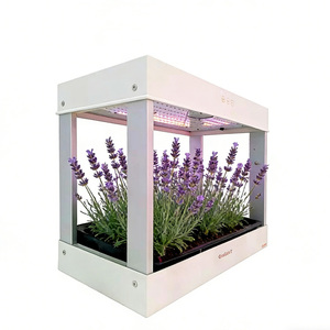 Sistema di Coltivazione Idroponica Wireless Intelligente, Mini Luce LED per Coltivazione Indoor, Fioriera per Erbe, Verdure e Semi, Giardino Domestico - Product Image 3