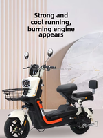 Vélo Électrique Urbain Léger Personnalisé à Faible MOQ, 48V, 2 Places, Moteur Brushless 500W, Cadre en Acier, Batterie au Plomb-Acide