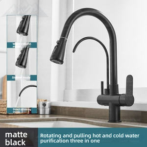 Смеситель для кухни Wayon Modern 2-в-1, цвет оружейной стали, из цинкового сплава, с выдвижным изливом-распылителем и фильтром для воды, модель Project WW-CFLT - Product Image 6