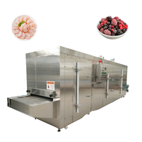Máquina de Congelación Rápida IQF de Alta Eficiencia para Frutas, Verduras y Mariscos |   Congelador de Lecho Fluidizado