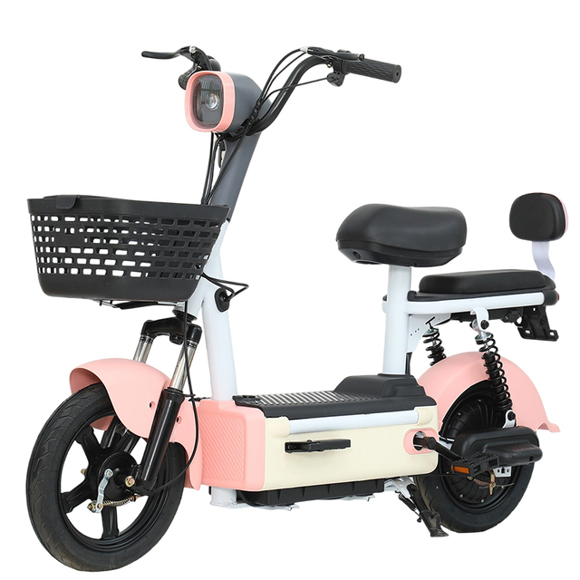 Low Price International Hot Sale E-Bike - Two-Seats, Brushless Motor, for Resale
