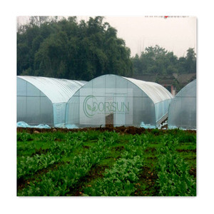 Sistema Hidropónico, Invernadero Solar para Hongos, Invernadero Agrícola de Plástico para Plantas - Product Image 4