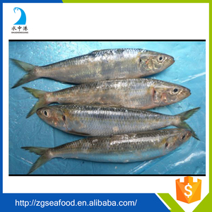 Varios Tipos de Pescado Enlatado, Mejor Sardina Enlatada - Product Image 4