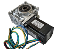 Nouvelle technologie Durable métal engrenage à vis sans fin 24v 36v 48v 250w 3000 tr/min haute puissance 24V moteur à engrenages à courant continu sans balais avec engrenage à vis sans fin