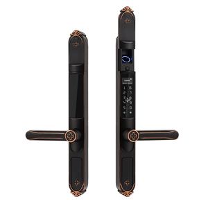 Outside Antirust Antifreeze IP58 Waterproof Smart Fingerprint Lock for Front Door Villa Gate Fence - Product Image 4