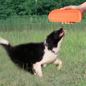 Jus de fruits Fabricant d'animaux de compagnie Vente en gros Jouet pour chien Disque volant interactif d'entraînement Jouet pour chien de sport de plein air Frisbee pour chien