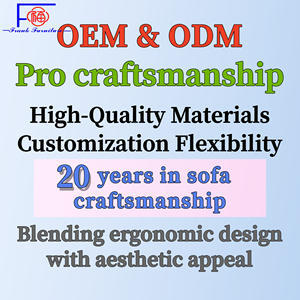 फ्रांक फर्नीचर <span class=keywords><strong>2025</strong></span> सबसे ज्यादा बिकने वाला फैब्रिक सेशनल सोफा | लिविंग रूम के लिए सस्ती - Product Image 6