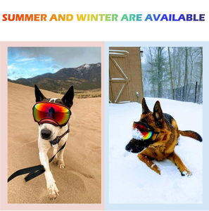 Gafas de Sol para mascotas con protección ocular a la moda con correa ajustable, gafas para perros con protección UV - Product Image 4