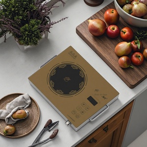 <span class=keywords><strong>2025</strong></span> bán hàng nóng được xây dựng trong đung 1 Burner cảm ứng đung bếp thép không gỉ Lò nướng điện cho hộ gia đình Hà Lan 110V lẩu - Product Image 6