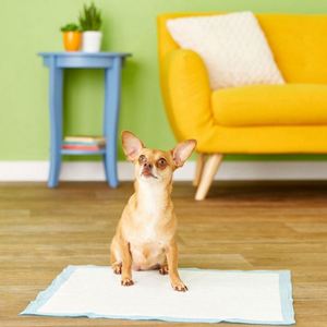 Aides à l'apprentissage de la propreté pour chiens, chats et porcs en bambou ultra-mince et écologique - Contrôle des odeurs et séchage rapide - Product Image 5
