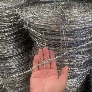 Les murs et les clôtures sont densément équipés de barrières continues en hauteur et ont passé avec succès les tests anti-escalade officiels. - Product Image 5