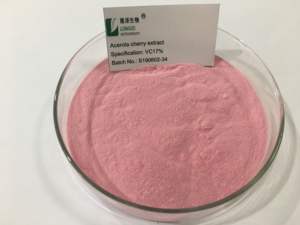 Poudre de cerise acérola séchée par atomisation naturelle Poudre de fruit de qualité supérieure de cerises de la <span class=keywords><strong>Barbade</strong></span> - Product Image 6