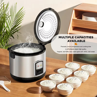 Cuisinière à riz électrique Dreepor 3L, cuve antiadhésive, cuisson saine à une touche, maintien au chaud automatique, puissance 500W