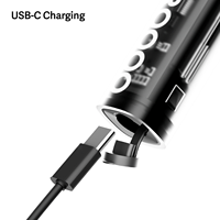 Brosse à dents électrique rechargeable Travel Sonic 1000mAh, étanche IPX7, charge rapide Type-C, longue autonomie, blanchiment des dents, cadeau idéal