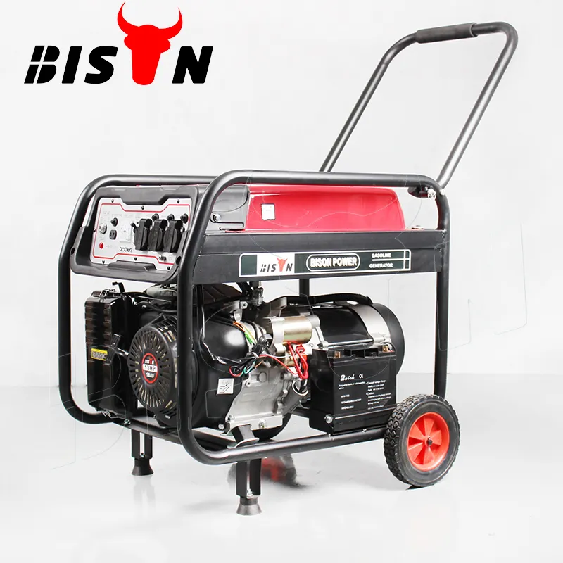 Bison Manual Power Generator 5 Kw 7500W 1200W 1000W 220V Natural Gas Generators Electrical From China