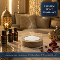 Diffuseur en céramique solide écologique pour huiles essentielles, pierre aromatique poreuse à haute absorption, ensemble de supports pour la maison et le bureau