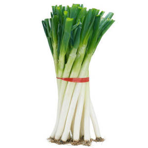 Prévenir les maladies Améliorer le sol pour la pastèque oignon gingembre <span class=keywords><strong>ail</strong></span> chou Usine d'engrais bioorganique - Product Image 5