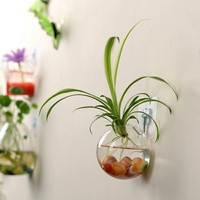 Vase globe rond en verre transparent suspendu, design moderne et créatif, léger, pour plantes et fleurs, décoration pour la maison, le jardin et le bureau, 10 cm
