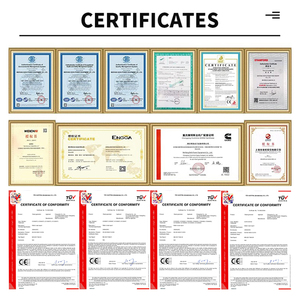 Cng LPG lng Hydro Biogas Propane Clo Tự nhiên Máy phát điện tuabin khí đặt powerd genset im lặng yên tĩnh gỗ sinh học Máy phát điện - Product Image 6