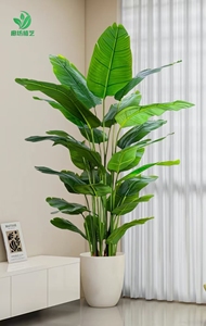 Cọ nhân tạo cho hành lang khách sạn tán lá thực tế Thiết kế tinh xảo - Product Image 6