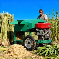 Machine de décorticage du chanvre robuste, équipement commercial d'extraction de fibres pour sisal, jute et banane