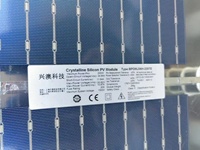 BIPV Green House Double verre 220w 300w 380w Module solaire Pv transparent Panneau solaire en verre semi-transparent