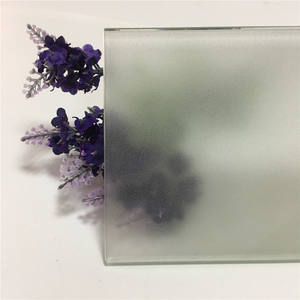 Porte de <span class=keywords><strong>douche</strong></span>/toilette en verre trempé givré - Product Image 4