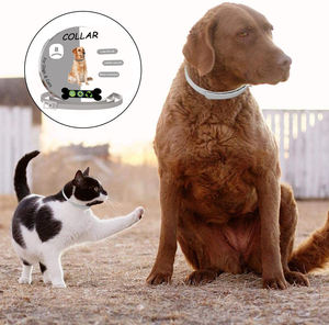 Collar Calmante para Perros, Reduce la Ansiedad de las Mascotas, Aceite Esencial Natural, Efecto Duradero, Suministro de Fábrica - Product Image 4