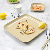 Nouvelle Assiette Carrée Moderne Écologique et Biodégradable en Coque de Riz, Design Flottant Personnalisable pour Usage Domestique – Collection 2026