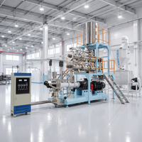 Usine de fabrication d'extrudeuses à double vis entièrement automatiques pour aliments pour animaux de compagnie, aliments pour chiens, machine de fabrication de granulés d'aliments flottants pour poissons tilapia