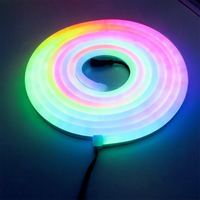 Luz de Neón LED RGB al por Mayor, DC 12V IP65 60LEDs/M, Flexible para Exteriores, Paisajes, Fiestas y Festivales