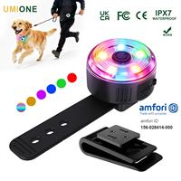Collier lumineux pour chien avec charge rapide USB C, étanche IPX7, 1,5H d'autonomie, 10 modes, 250mAh, lampe de sécurité rechargeable pour animaux de compagnie pour les promenades nocturnes