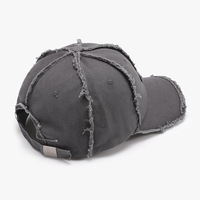 RTS Era Classic Vintage Style Outdoor Unisex Oxford Katoenen Paardenstaart Sportpetjes Baseballpet Fruit Distressed Frayed Hoeden