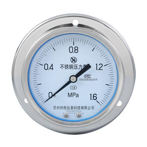 Manómetro de Acero Inoxidable Suzhou Xuan Sheng de 100 mm, Analógico, Montaje en Panel YBF100ZT, Conexión Roscada - Product Image 1