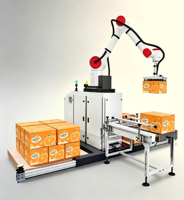 Cobot, robots collaboratifs, bras robotique, bras robotique à 6 axes pour système de palettisation de jus d'orange