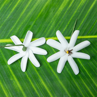 Fleur de Tiaré Artificielle Blanche en Mousse EVA de 8 CM, Style Fête Insulaire, Pointe Jaune pour Oreille