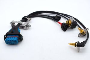 ZF0501219774 变速箱减速器线束 纯铜导体 PVC IP65 级 制造用于汽车摩托车电子设备 - Product Image 2