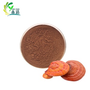 식품 학년 식물 추출물 대형 공급 하이 퀄리티 Reishi 버섯 추출물 분말 10%-50% 드럼 포장에 다당류 - Product Image 6