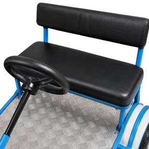 Buggy électrique deux places avec pare-soleil, véhicule électrique pour la glace, <span class=keywords><strong>chariot</strong></span> à <span class=keywords><strong>neige</strong></span> et à glace pour patinoire, parc d'attractions - Product Image 3