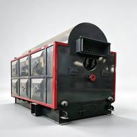Chaudière à eau chaude industrielle à biomasse à circulation naturelle horizontale automatique pour hôtels, au charbon et au bois