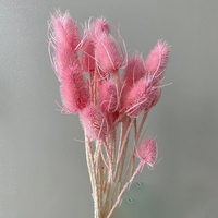 Fleur de Teasel séchée et préservée en gros, Dipsacus véritable naturel éternel, fleur colorée teinte pour arrangements floraux DIY, Noël