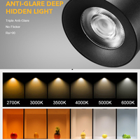 Rail d'éclairage commercial moderne sur rail 3cct Track Light Anti-éblouissement 10w 24w Spot LED réglable sur rail
