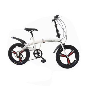 Bicicleta Plegable Baidong de 20 Pulgadas con Ruedas de Aleación de Magnesio y Cuadro Rígido, Bicicleta para Estudiantes y Desplazamientos Diarios - Product Image 1