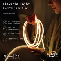 Tira de LED de Neón Ultra Delgada de 4x8mm, 12V, IP67, Impermeable, Flexible, para Muebles, Bordes de Espejos, Señalización, Decoración, CE, RoHS
