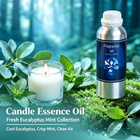Huile Essentielle Parfumée Eucalyptus Menthe Air Frais, Huile Parfumée pour la Maison pour Diffuseur à Bâtonnets et Fabrication de Bougies, OEM Personnalisé