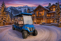 Voiturette de golf 6 places pour adultes, batterie lithium 60V, tout-terrain, électrique, contrôleur Curtis, quatre freins à disque