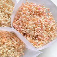 Bunga Gypsophila Kering Grosir, Buket Baby's Breath, Pengisi Bunga Bulat untuk Dekorasi Pernikahan dan Rumah