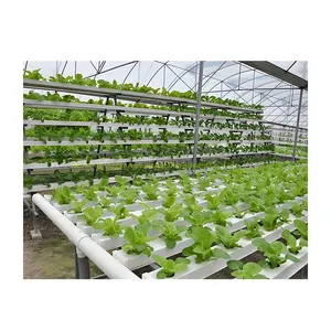 Plant Factory Display Roof Hydroponic Pipeline Planting Leaf Vegetables Melon Fruit Strawberry Planting Rack Hydroponic System