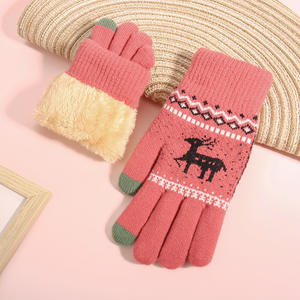 Kadın kış dokunmatik ekran eldiveni kore durak polar astarlı kalınlaşmış soğuk geçirmez jakarlı su geçirmez Fawn yün sıcak örme - Product Image 1