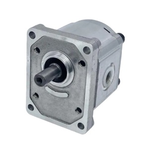 Pompa Idraulica a Ingranaggi Serie PHP Fornita dalla Fabbrica: PHP20.26D0-83E2-LBF/BD-N, PHP30.52D0-84E3-LEF/EE-N, PHP40.80D0-81E2-<span class=keywords><strong>LFE</strong></span>/EF-N - Product Image 6